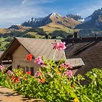 Baeren 3* Adelboden
