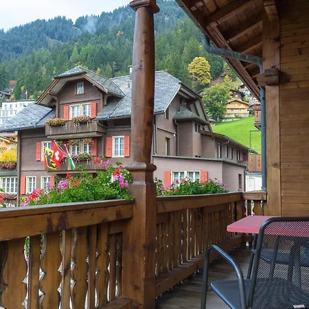 Hotel Baeren 3*