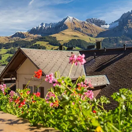 Baeren 3* Adelboden