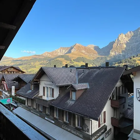 Hotel Baeren 3*