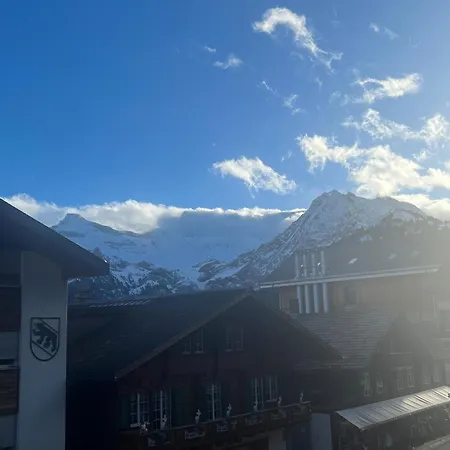Hotel Baeren Adelboden